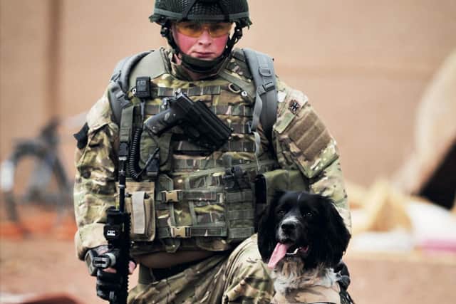 Liam Tasker: Kirkcaldy soldier and his dog killed in Afghanistan get ...