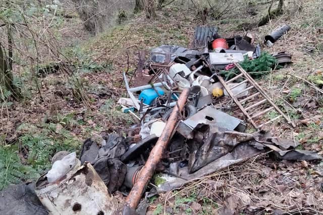Just some of the rubbish that Andrew cleared from the woods behind Cardenden Primary School.