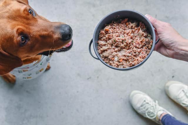 Bella & Duke’s raw, natural pet food is said to provide notable health benefits to pets, with over 92 per cent of customers reporting an improvement in their dog within eight weeks.