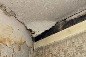 The problems of mould are all too familiar to many tenants