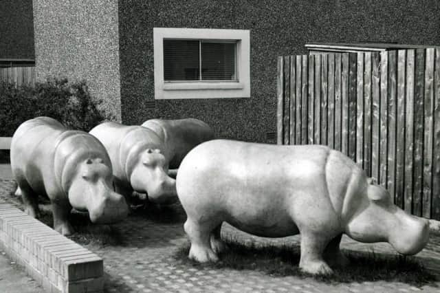 Stanley  Bonnar’s hippos are not only loved by the Glenrothes community, they have become synonymous with Glenrothes Development Corporation’s (GDC) pioneering approach to public art
This photo from Pitteuchar dates from 1973