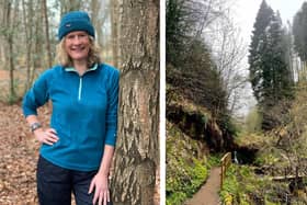 Wild Workforce founder Clare Stephen, pictured on Falkland Estate, is passionate about the role forest activity can play in reducing work stress. (Pics; Submitted)