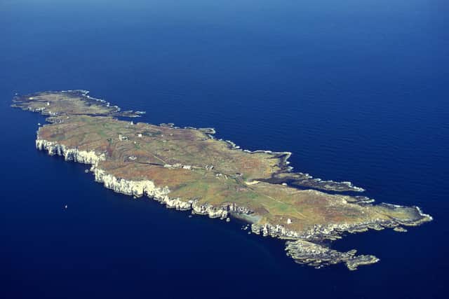 Public landings at the Isle of May will cease from Friday due to avian flu. (Photo: Patricia and Angus Macdonald/NatureScot)