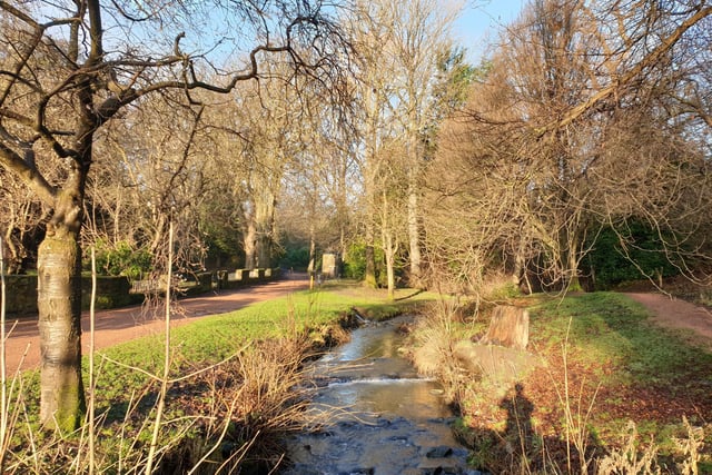Letham Glen, Leven:
Step away from the traffic and the hustle and bustle, and enjoy exploring eight hectares of parkand.