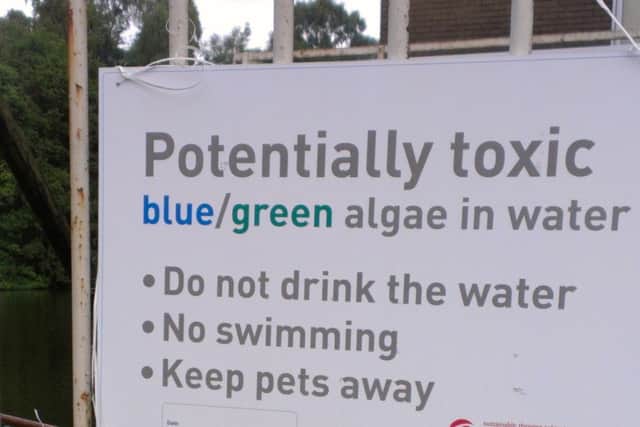 People are urged to be on the lookout for blue-green algae on the Kingdom's lochs, ponds and reservoirs.