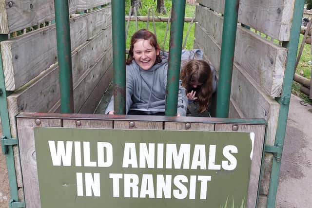 Wild animal, Amie Scott, in transit.