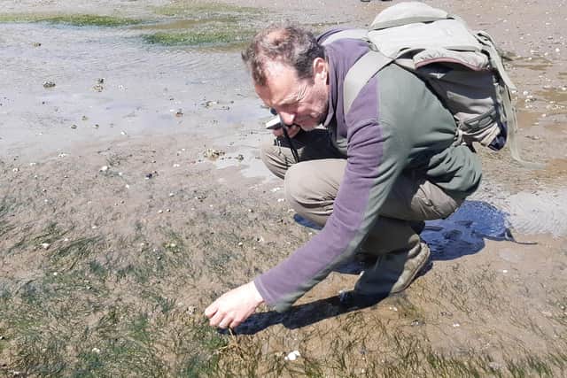 Dr Alastair Lyndon, senior lecturer in marine biology at Heriot Watt University,  is leading the Restoration Forth project which will take three years and map seagrass across the River Forth and restore around four hectares of  meadows
