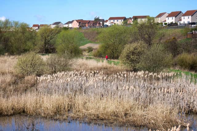 Views are being sought from communities along the River Leven.  (Pic: Green Action Trust)
