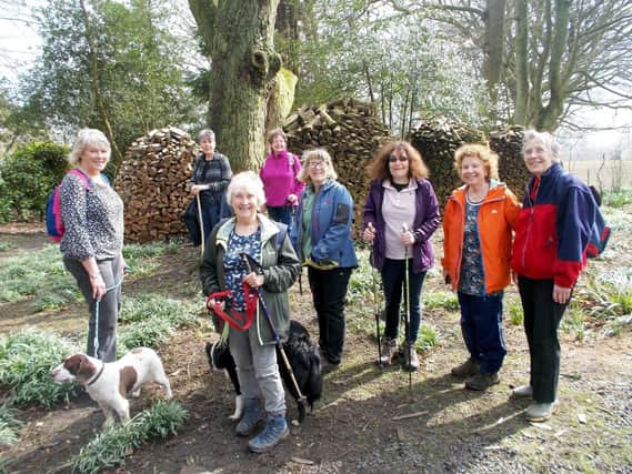 Marilyn Edwards (front) with some of the participants who took part in last year's Spring Walking Festival.