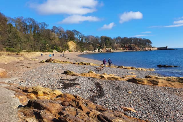 Concerns have been raised by locals about red coloured discharge seen in streams along Fife Coastal Path and the number of dead birds found washed up at Pathhead Sands, Kirkcaldy.