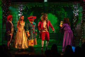 The cast of Ya Wee Beauty & The Beastie on stage (Pic: Lewis Milne)