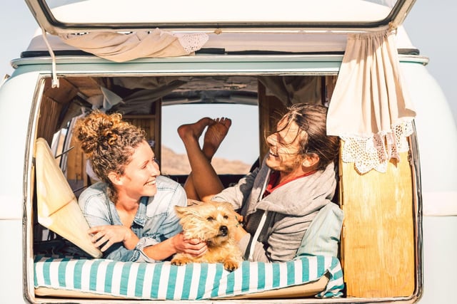 It’s so important that your dog is comfy and kept cool when travelling, especially during long car journeys. Doing things such as putting the air conditioning on, shading out the back windows to protect them from direct sun, and stopping at service stations for short walks will make sure your dog feels calm and looked after. Don’t forget a bowl and water!