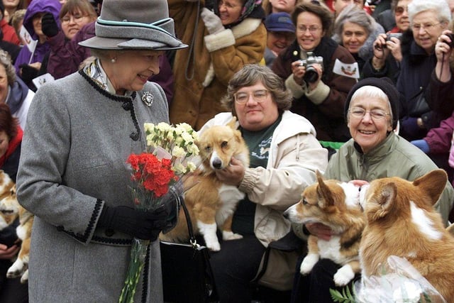One Corgi that held a particularly special place in the Queen's heart was Susan, the first ever Corgi of her own. She loved the dog so much she even took her on her honeymoon.