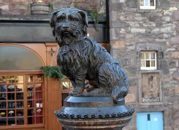 Skye Terrier Greyfriars Bobby was famously a very loyal dog - here are 10 others.