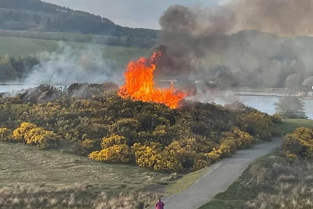 Bushes at Lochore Meadows on fire (Pic: Fife Jammer Locations)