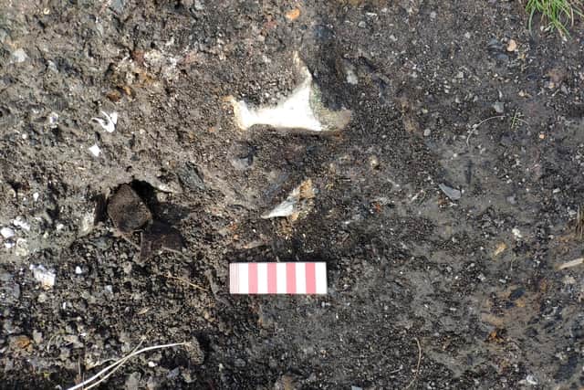 The bones were found eroding from the shoreline outside Jonathan's Cave. Pic: SWACS.