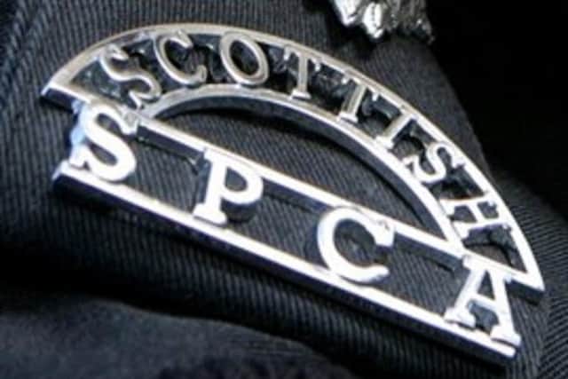 The unexplained deaths of three domestic rabbits in Fife has prompted a investigation from an animal welfare charity the SSPCA.