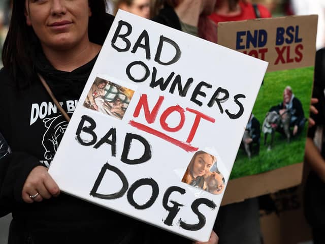 Supporters of the XL Bully dog breed hold placards during a protest against the UK Government's plans to ban the dogs (Pic: Henry Nicholls/AFP via Getty Images)