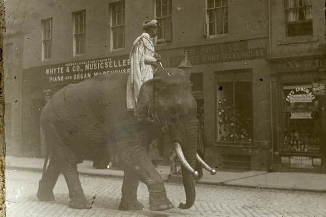 Normand captured this image of a circus elephant walking down Cupar's Crossgate.  (Pic: OnFife Archives)