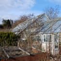 The dilapidated greenhouse at the walled gardens could be set for demolition (Pic: Submitted)
