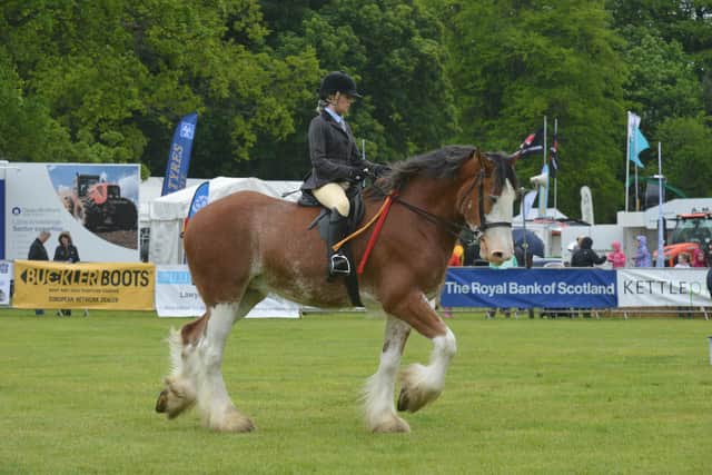 The Fife Agricultural Show Cupar 20 May 2017. 
