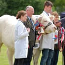 The 2024 Fife Show takes place at Kinloss this weekend.  (Pic: Cupar Camera Club)