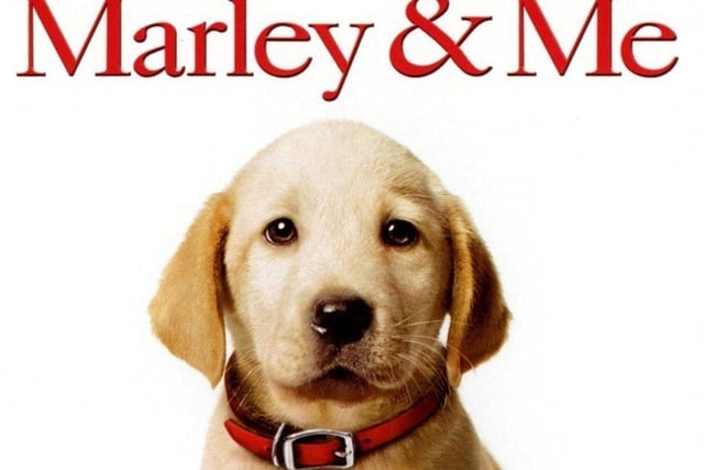 Marley & Me.
It's stars Jennifer Aniston and Owen Wilson - and it also has a cute dog.
A very cute dog...