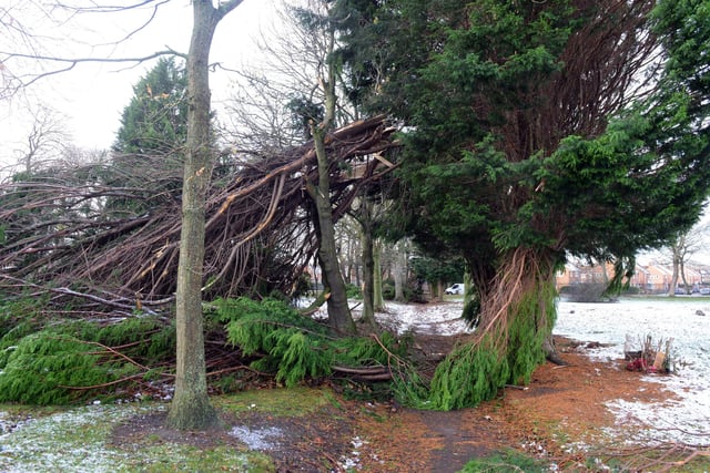 Storm Arwen aftermath at Southwick Cemetery.