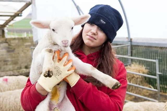 Lucky Ewe is using its £3000 of Community Funding to make its North East Fife smallholding more accessible.