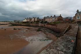 Elie Beach was a huge favourite with dog owners
