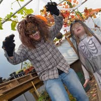 In pictures: Looking back at Hallowe'en fun across Fife over the years