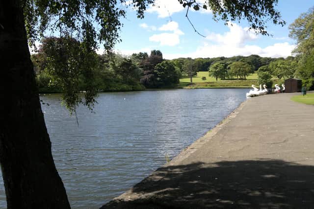 The pond in Kirkcaldy's Beveridge Park is one of the areas affected by blue-green algae.