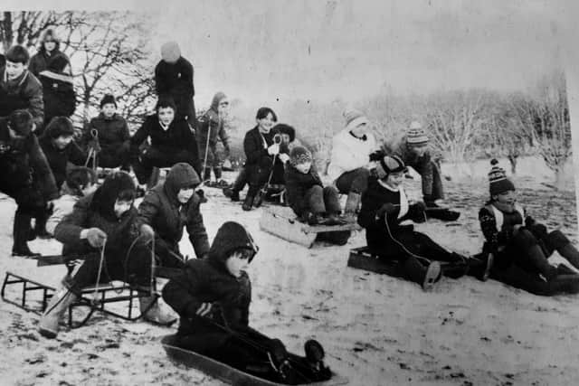 Sledging at Beveridge Park, Kirkcaldy in the Arctic winter of 1982 (Pic: Fife Free Press)