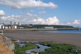 The volunteers will be cleaning up Kirkcaldy beach on Sunday from 10am to 2pm.
