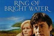 Ring Of Bright Water
Bill Travers and Virginia McKenna starred in this 1969 movie of the bond between a man and his otter - and a growing friendship with the local doctor after a move from the city to a rural village.