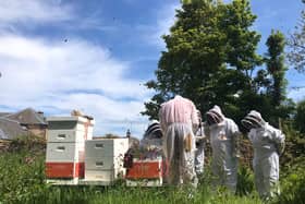 Honeybee workshop at Cambo Gardens in Fife.
