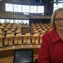 Tricia Marwick made a strong attack on party members leaking information