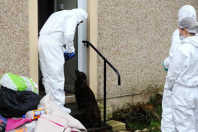 A police sniffer dog was pictured at the house in Kinglassie on January 15. Pic: Michael Gillen