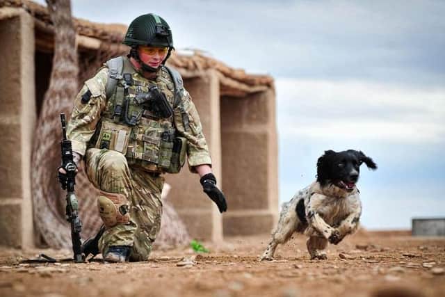 Liam and Theo in action in Afghanistan.