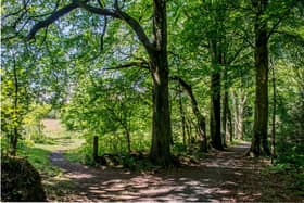 The new proposals aim to improve the woodlands at Formonthills.