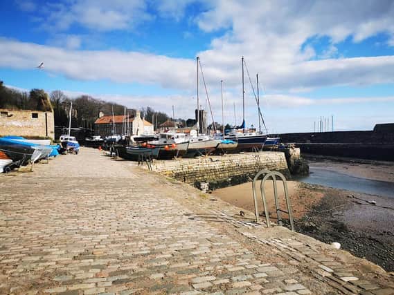 Locals have raised concerns about the large numbers of people flocking to Dysart Harbour.