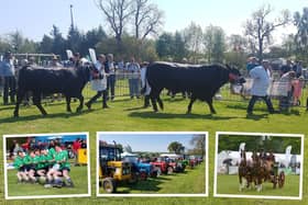 The Fife Show features a whole range of attractions promoting the best of agriculture and the countryside, from livestock and farm machinery, to a tug o' war competition and horse driving classes.