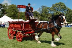 There's something for everyone at the Fife Show, which takes place on Saturday, May 20, 2023.