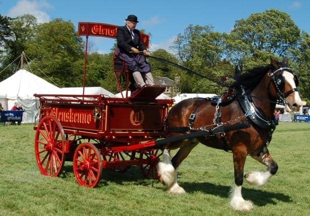 There's something for everyone at the Fife Show, which takes place on Saturday, May 20, 2023.
