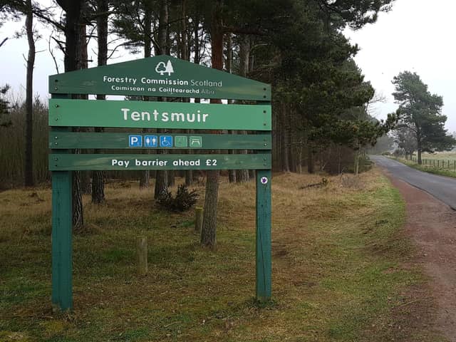Tentsmuir Forest