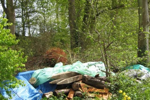 Building waste dumped in the woodland.