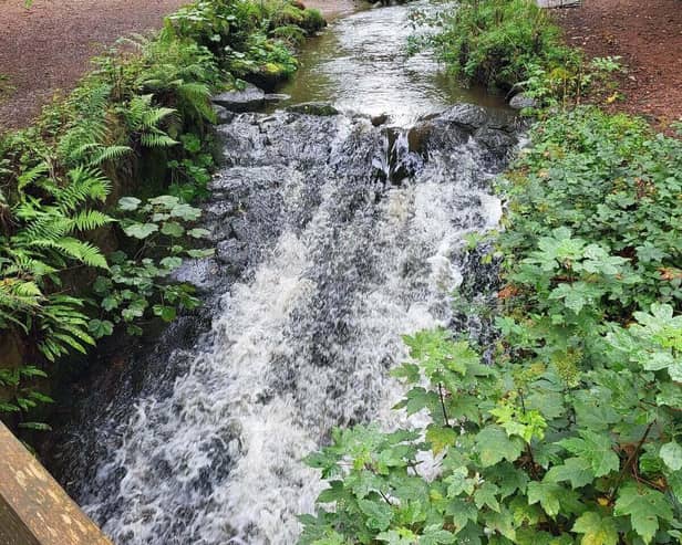 Restoring the Back Burn River project has secured funding from the local area committee this week. (Image from previous Fife Council press release)