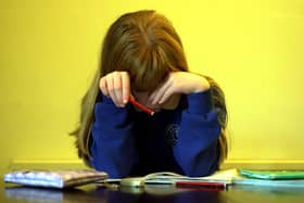 Young lives can be made miserable by bullies at school (Pic: TSPL)