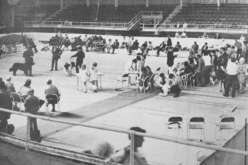 Kirkcaldy & District Canine Club stages its annual dog show at Kirkcaldy Ice Rink in August 1973