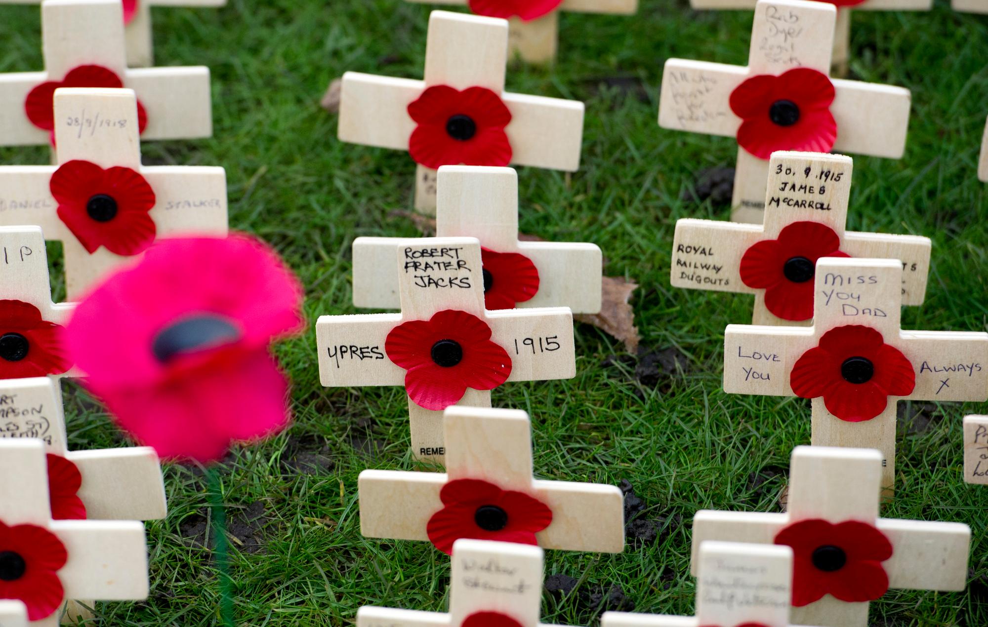 Crosses for the fallen: first ever Field of Remembrance at Kirkcaldy ...